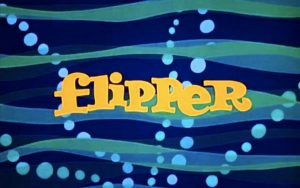 logo-serie-flipper-le-dauphin
