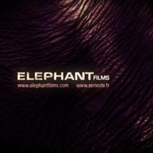 elephant-films