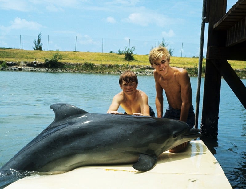 flipper-serie-photo-promo