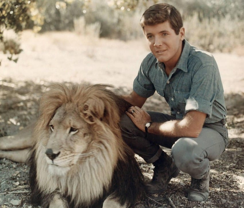 daktari-diffusion-1971-photo-5